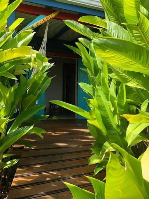 Secteur Prise, Bungalow Corail, Residence Casa Boubou Sainte-Anne  Buitenkant foto
