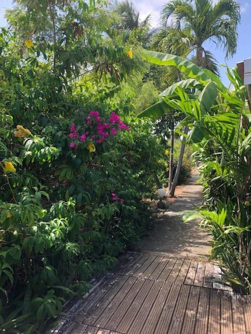 Secteur Prise, Bungalow Corail, Residence Casa Boubou Sainte-Anne  Buitenkant foto